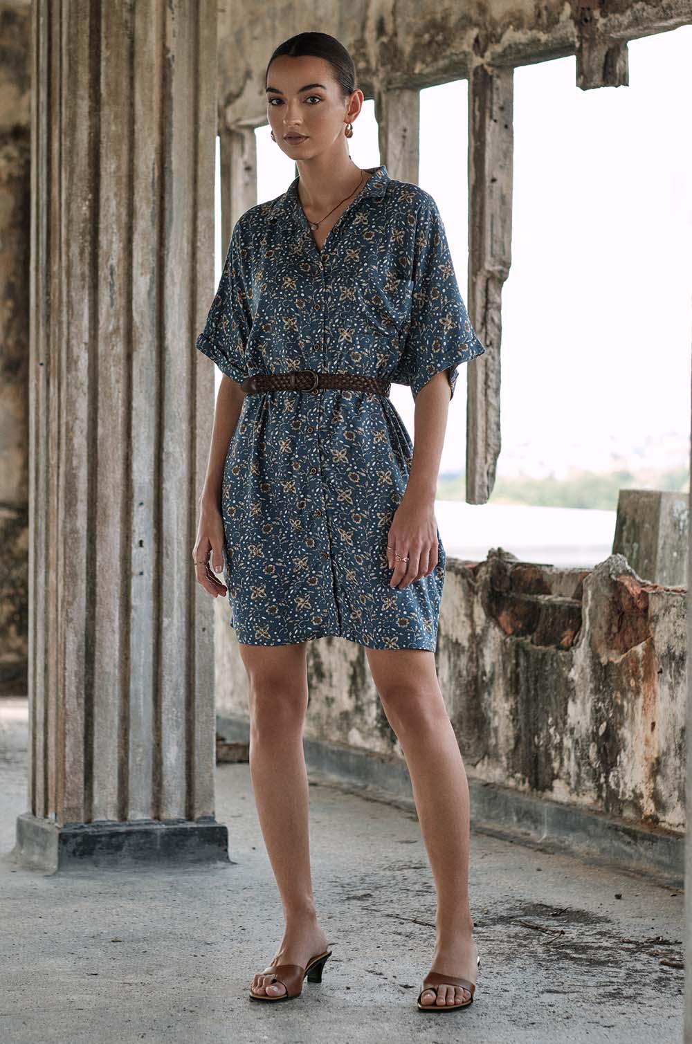 Yoke Detailed Printed Dress -Blue